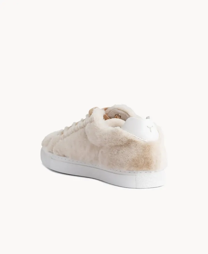 Aardman Low Top Sneaker