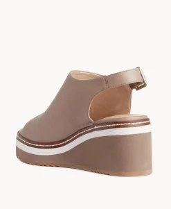 Cody wedge