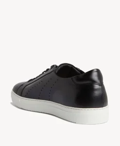 Darwin Sneaker