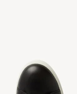 Darwin Sneaker