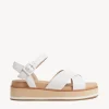 Perri Sandal