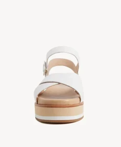 Perri Sandal