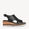 Raglan Wedge