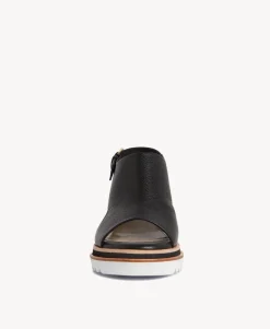 Raglan Wedge