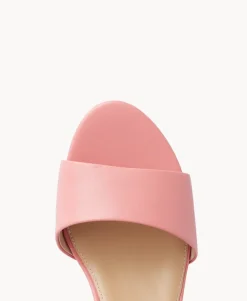 Sara Heel