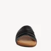 Shari Slide