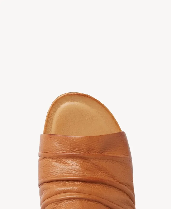 Shari Slide