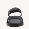 Taz Sandal