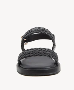 Taz Sandal