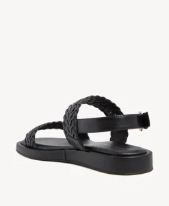 Taz Sandal