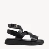 Teri Sandal
